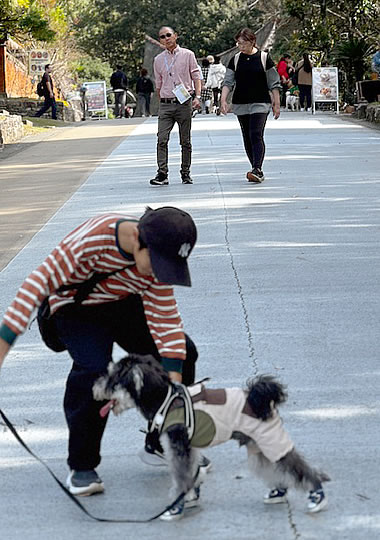 園内を楽しく散策