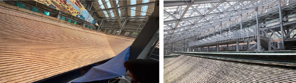 比叡山延暦寺 国宝根本中堂大改修工事